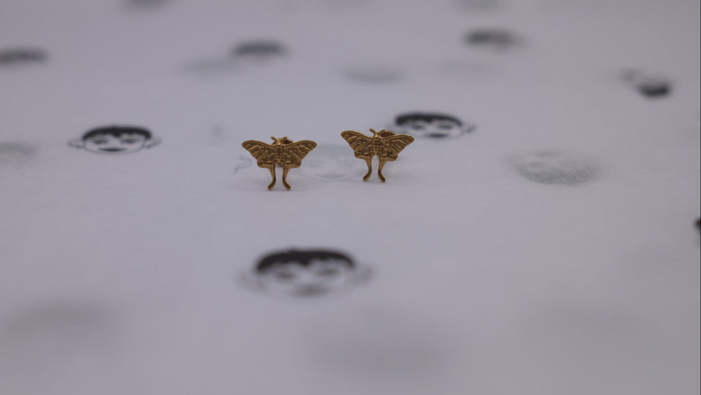 Mariposa