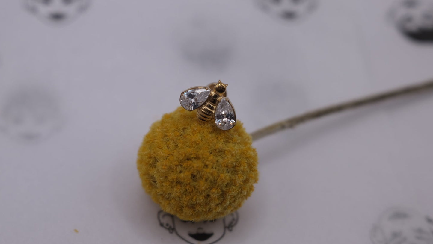 Abeja dorada